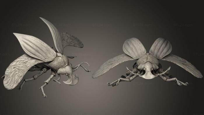 Insects (Boar Beetle, INSCT_0037) 3D models for cnc